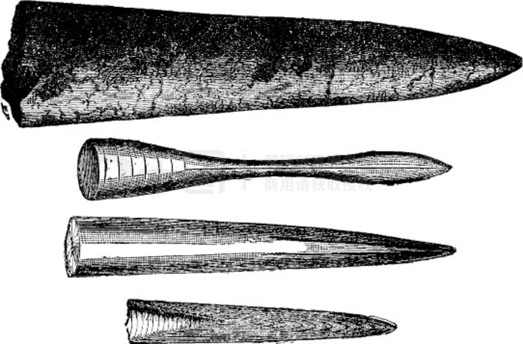 ٪޼ belemnites ĸ๣ŵ̲ͼࣿ 1886 ꡣ