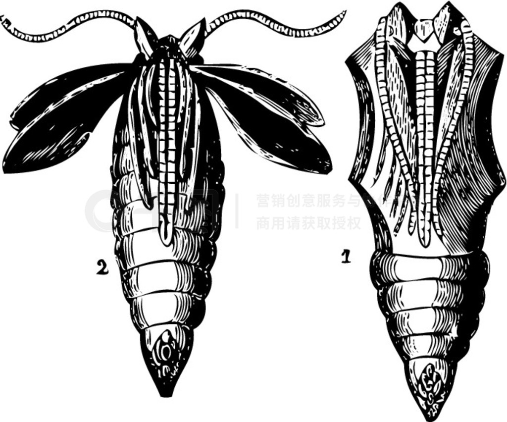 Ӽת׶εľɰ滭 Trosset ٿȫ 1886 - 1891