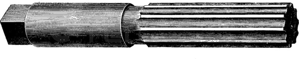 µһڽӹתߡ׵Ĺ̳Ϊ¿ףŵͼг - 1900