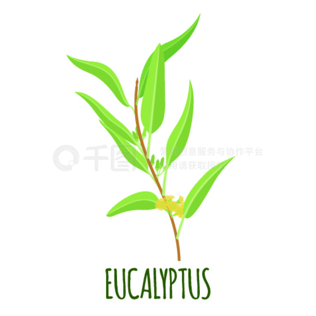 ƽʽ Eucaliptys ʸ־Ķʸͼ... Eucaliptys ͼƽʽϰɫ