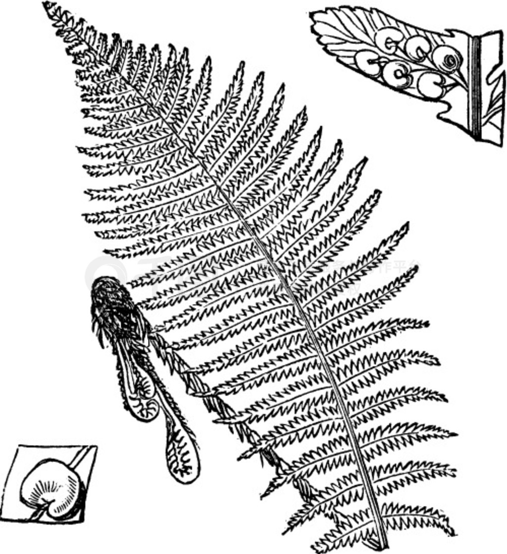 ާ壨ģʾӣºϣѾƿͼ Trosset ٿȫ (1886 - 1891)