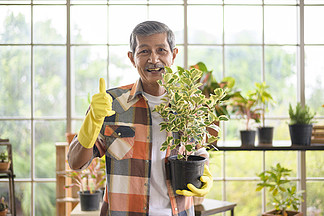 快樂的老年亞洲退休男子在家花園里拿著植物的肖像。快樂的亞洲高級退休男子在家花園里拿著植物的肖像。