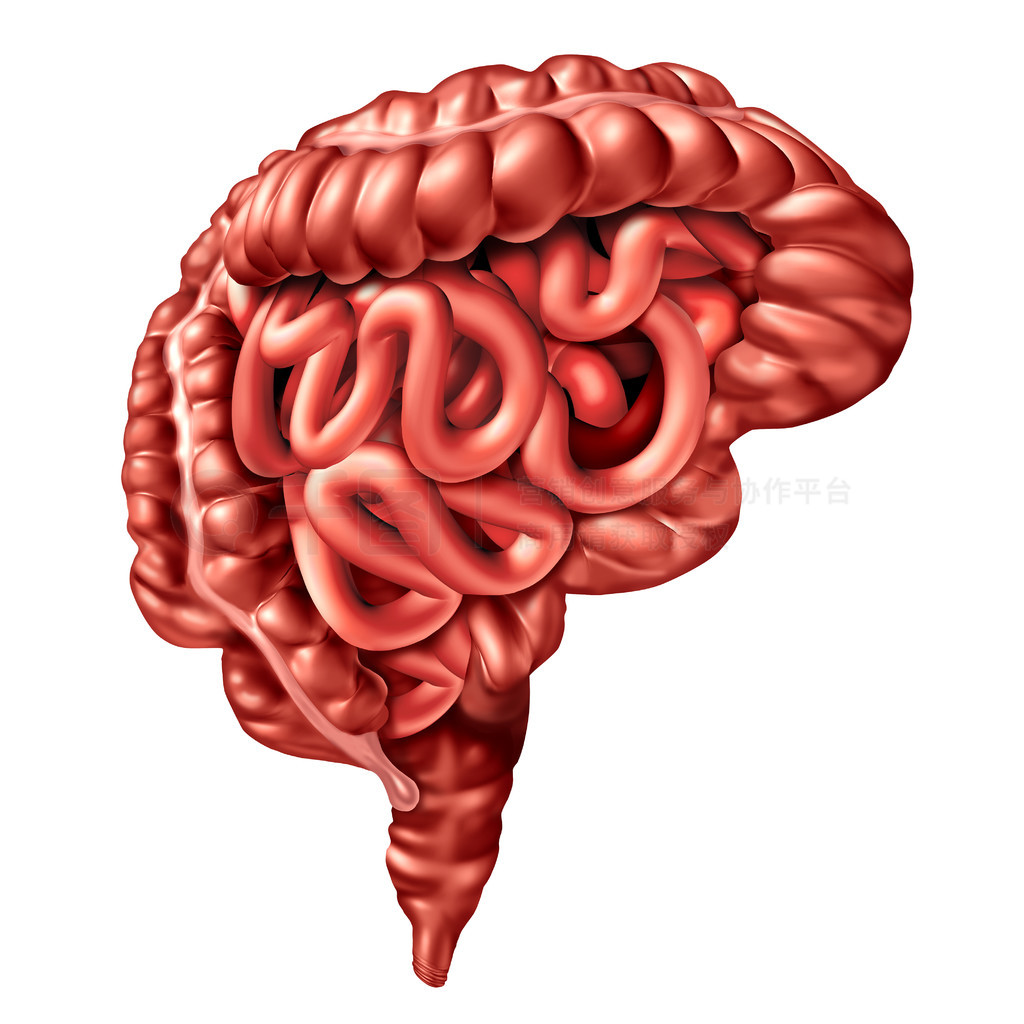 肠脑轴概念作为消化系统和人类思维器官连接在一起作为医学生化信号符号作为在白色上隔离的 3D 插图。