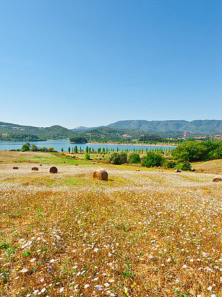 意大利阿尔卑斯山背景 i>下/i>的比兰奇诺湖