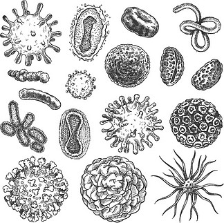 素描病毒 i>细/i>菌,冠状病毒 i>细/i>菌生物学微有机元素.
