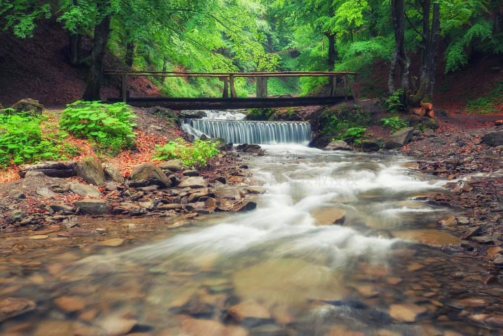 一座风景如画的木桥，横跨在落叶绿色夏季森林中的一条小溪。穿过一条小河。春暖花开的季节。