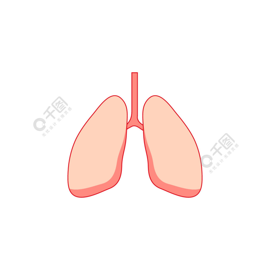 人的肺身体器官解剖图标平面矢量隔离插图医疗保健