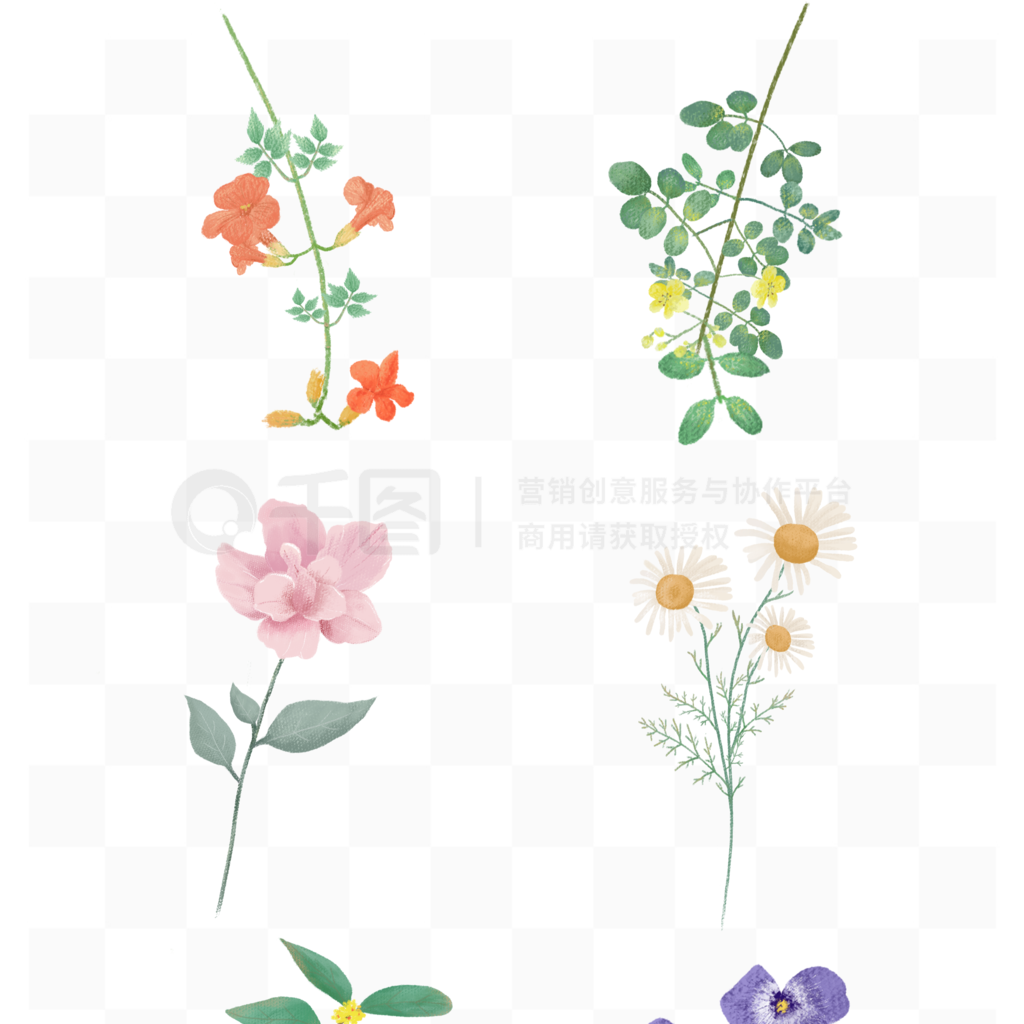 手绘花卉插画植物素材套图