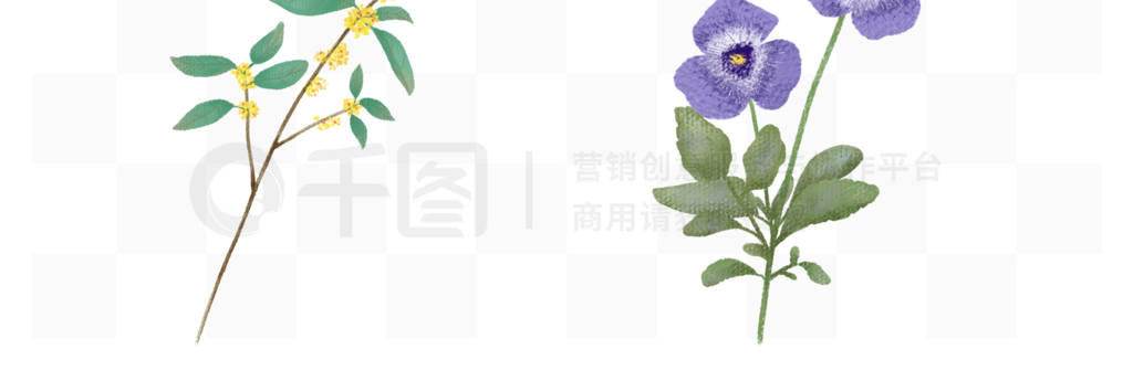 手绘花卉插画植物素材套图