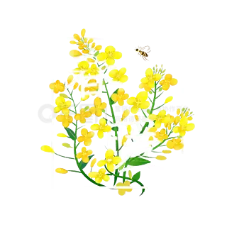 花与字小清新植物插画元素