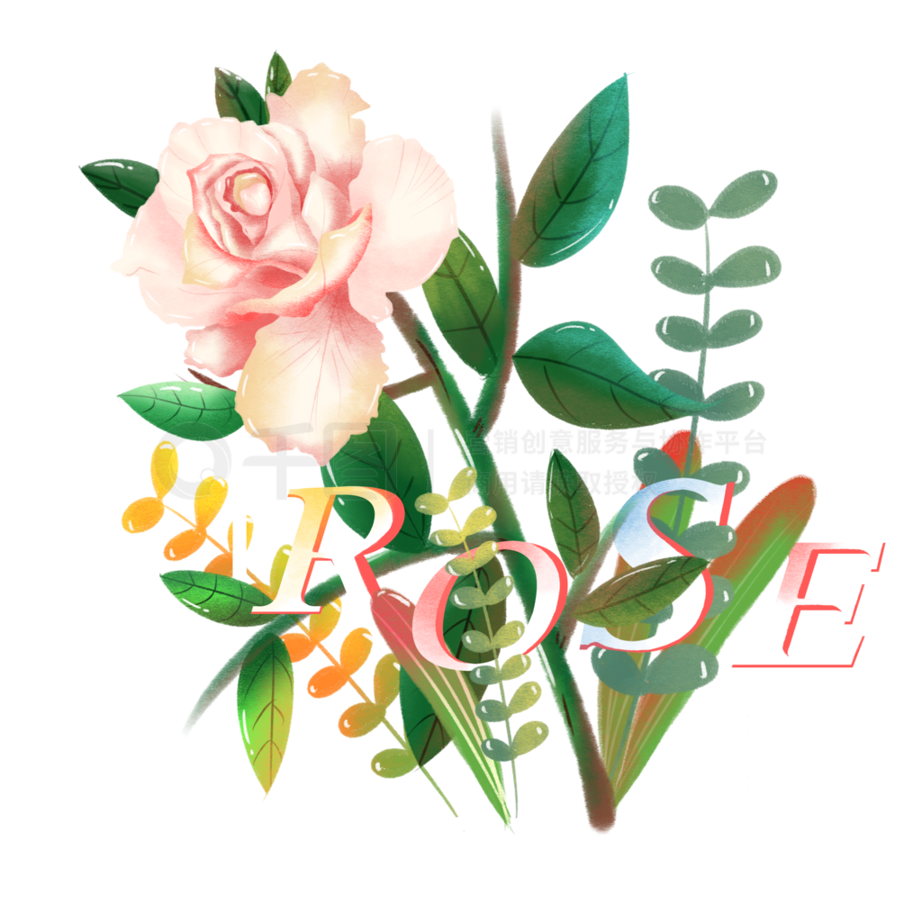 ֻ紺520÷ɫõrose