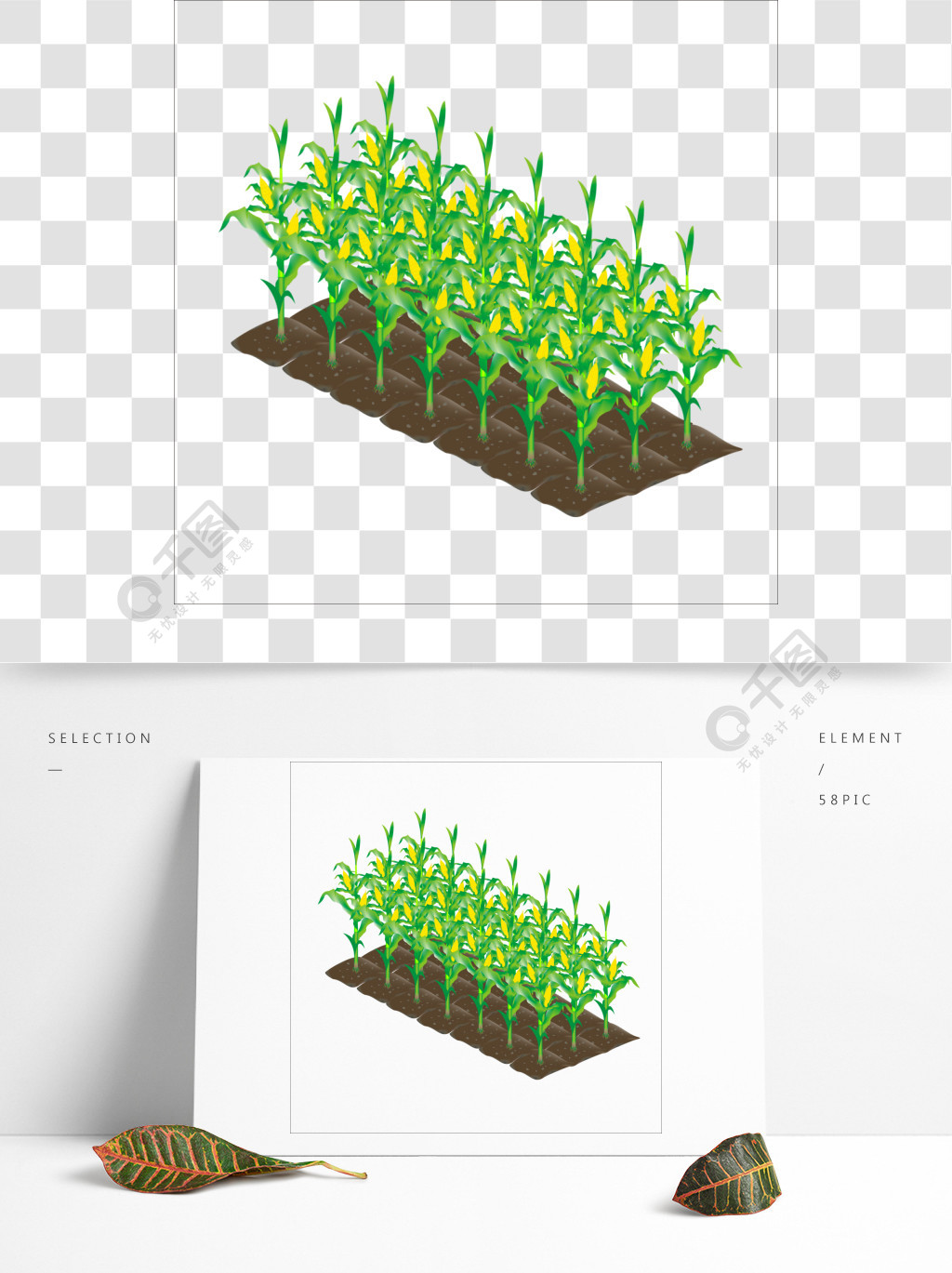 卡通矢量卡通玉米地农田