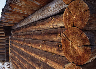 木材樹木茅草棕色紋理舊屋頂木材粗糙木材樹皮保護層材料紋理圖案墻壁天然緊密胡桃木表面植物木板森林覆蓋層木材特寫食用堅果堅果細節結構磚松樹樹