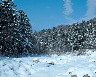 雪冬天天氣冷冰景觀森林樹霜山雪凍結樹季節天空山凍結公園滑雪覆蓋戶外分支松樹木材戶外旅游晶體邊坡冷杉風景陽光明媚風景冷淡酷季節性