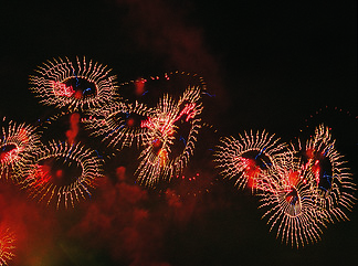 蜘蛛网网络烟花晚上陷阱庆典节日节日烟花爆炸火灾天空庆祝新烟火 i>