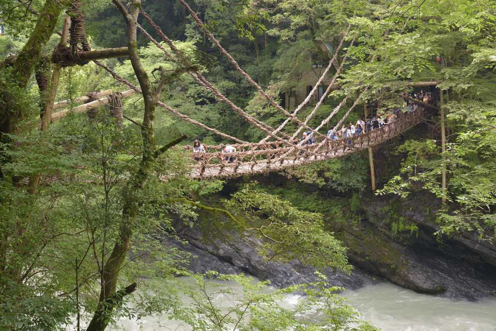 绕奥博克峡谷景点藤桥德岛县三好市日本