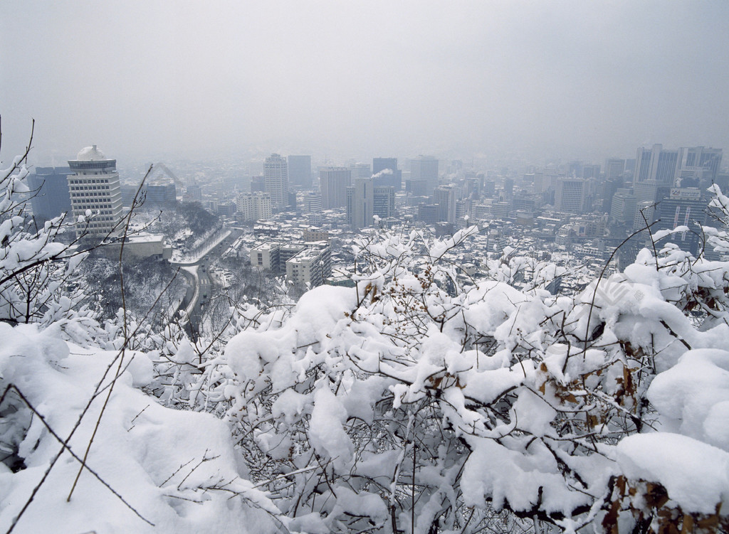 雪天气冬天山冷景观冰天空山雪森林高山霜旅游季节冻结树峰值户外滑雪