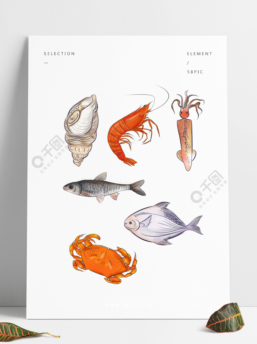 鱼虾蟹鱿鱼海螺手绘日式清新海鲜合集