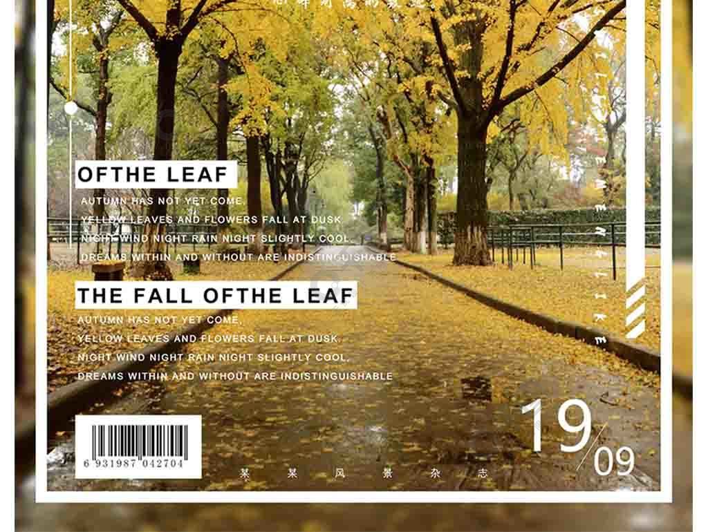 秋日风景杂志封面设计封面排版设计2年前发布