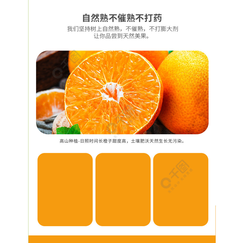 果冻橙水果详情页模板免费下载_psd格式_790像素_编号35575099-千图网