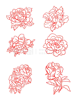 牡丹花手绘矢量图