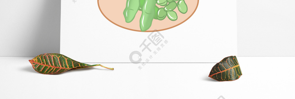 蚕豆蔬菜手绘插画