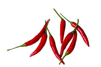 免摳素材紅色辣椒食材食物蔬菜