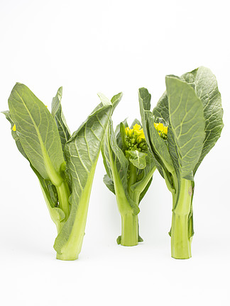 創意蔬菜圖片素材