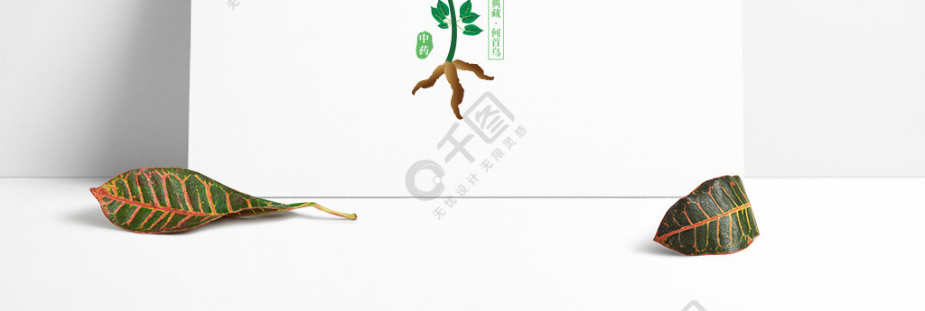 原创卡通手绘植物logo何首乌