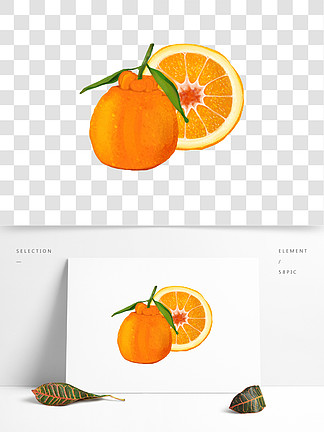丑柑橘子丑橘橙子手绘切开 i>水/i i>果/i i>组/i i>合/i>