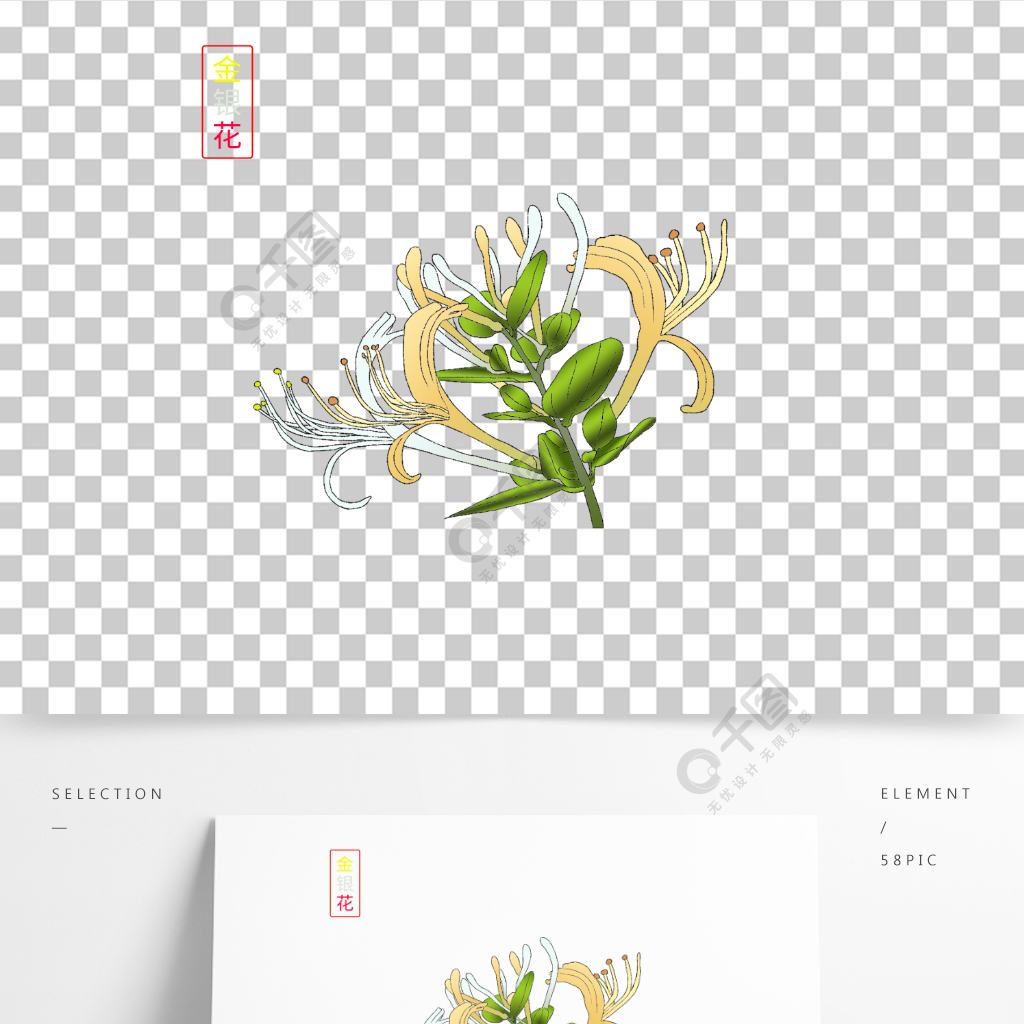 农产品详情页金银花手绘彩色高清矢量食品茶