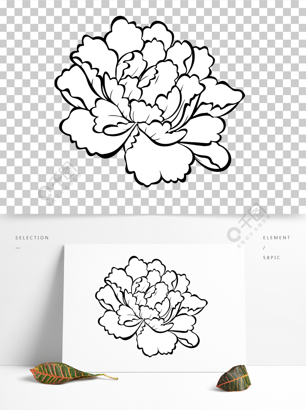 牡丹花卉线条画设计元素半年前发布