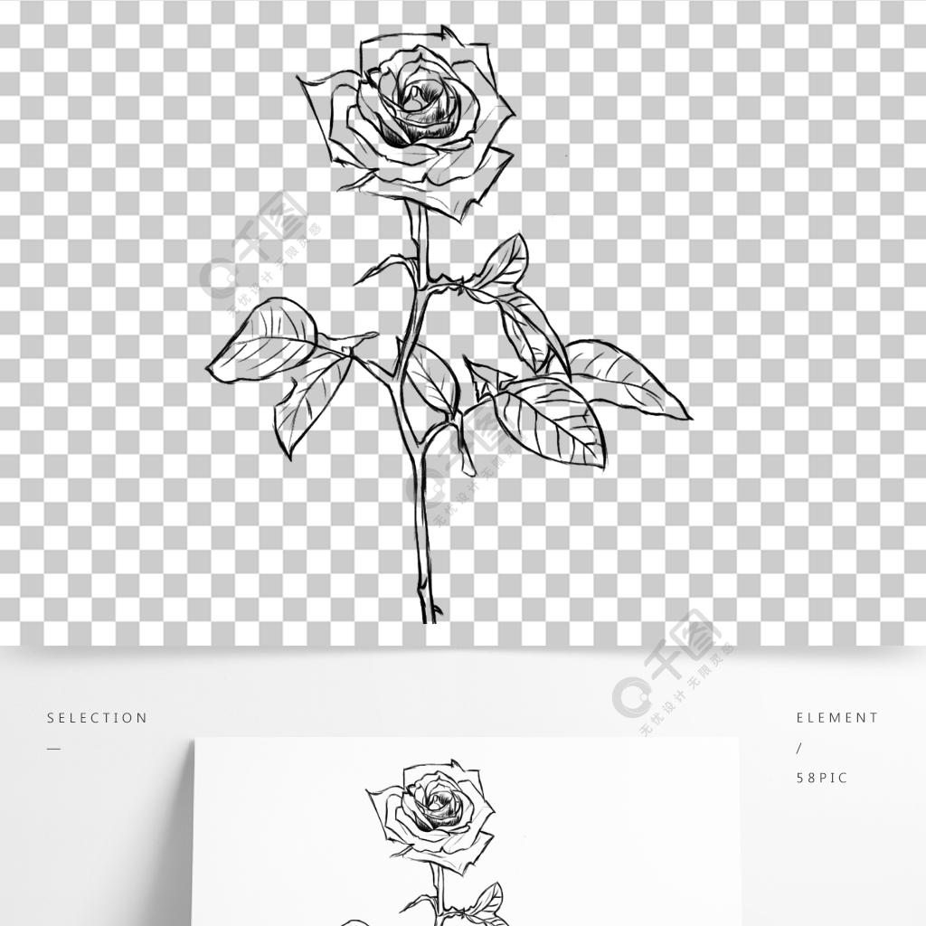 手绘速写玫瑰花素材
