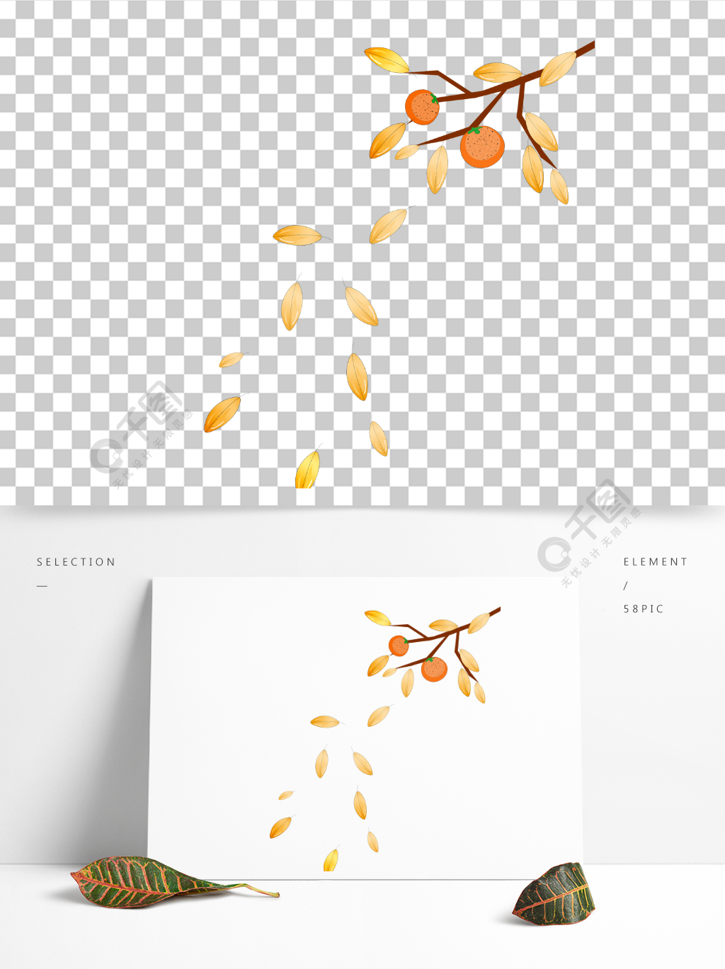 秋天处暑丰收柿子元素落叶原创免抠素材半年前发布