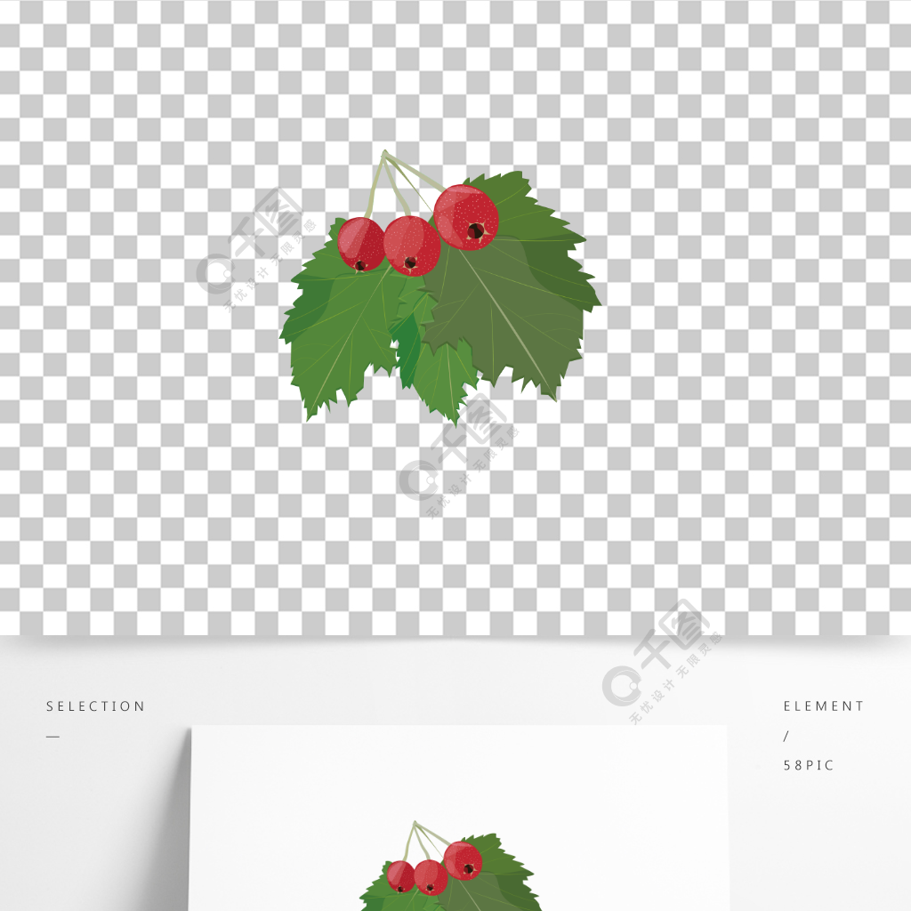 手绘山楂山楂树植物绿植红果