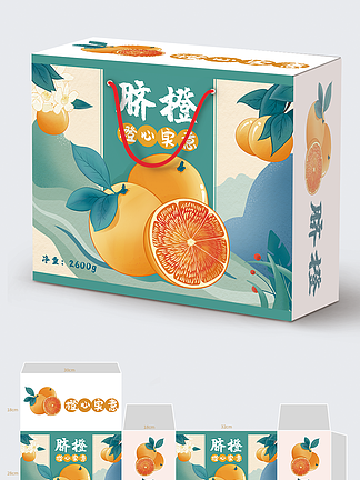 手繪清新簡約插畫水果臍橙子商業包裝