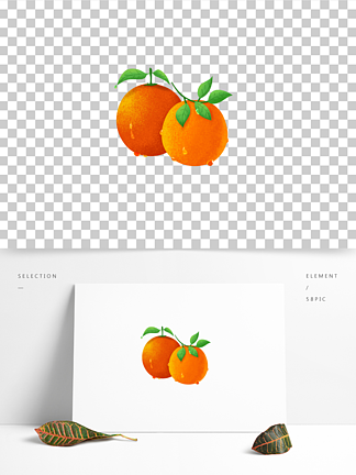脐橙橙子手绘卡通画