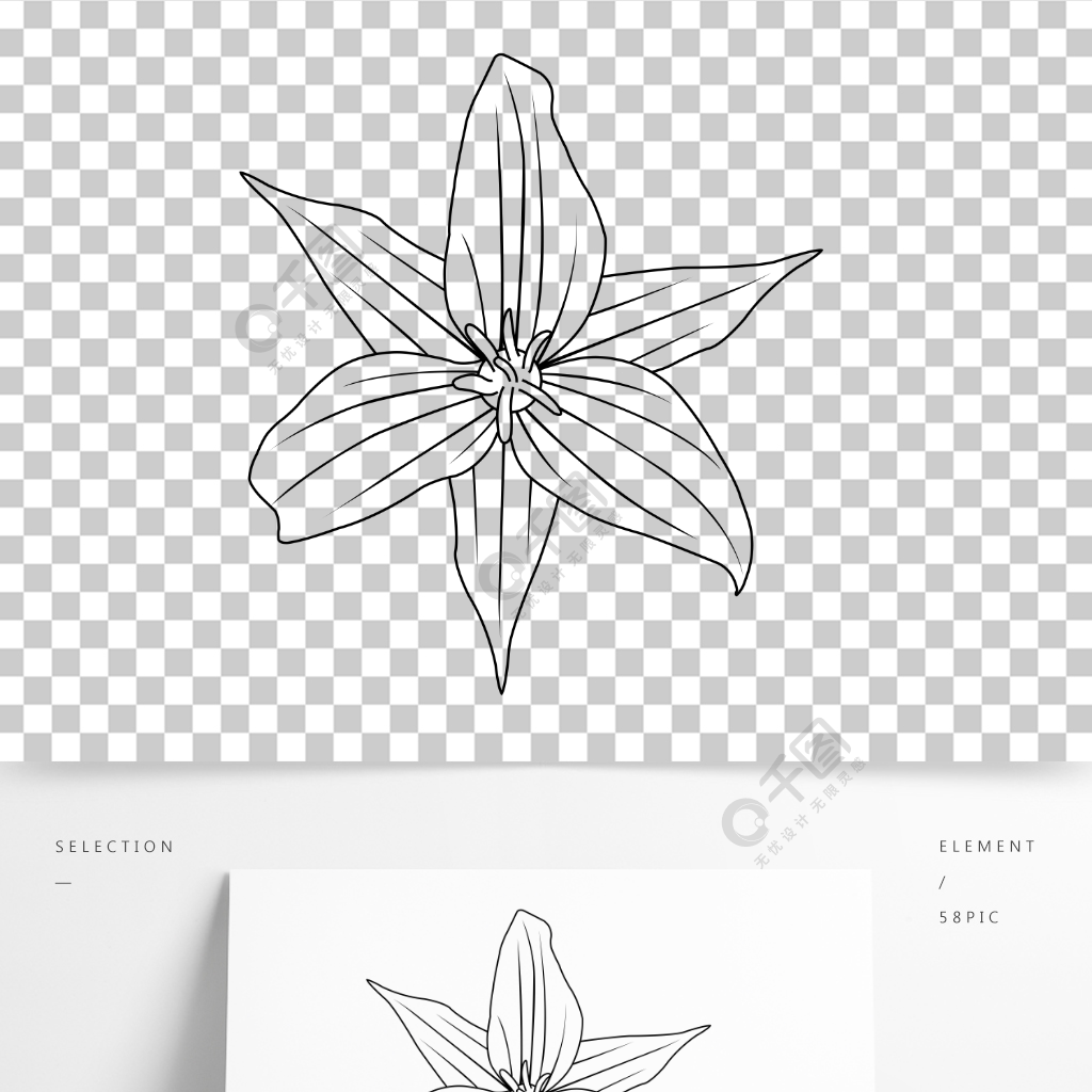 简约手绘花朵花瓣植物延龄草素描线稿元素