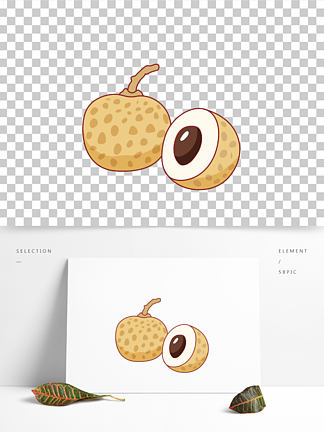 卡通手绘水果龙眼桂圆线条插画矢量装饰元素