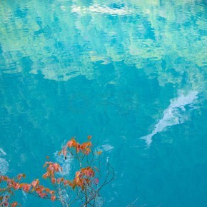 秋天的九寨溝寧靜湖泊紅色樹木背景自然風景