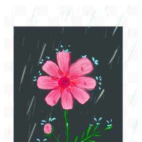 簡筆花卉帶露珠雨天