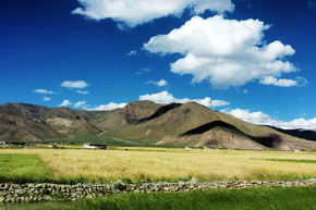 藏區的高原自然風光