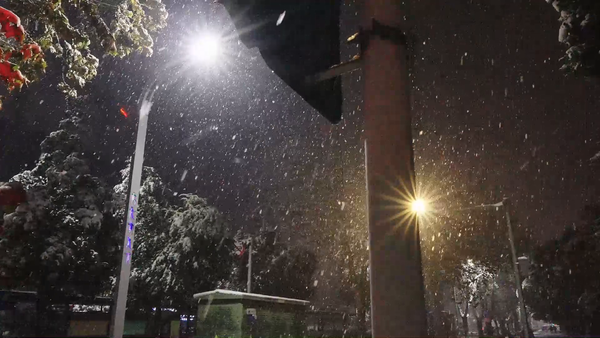 雪夜道路交通路灯下的雪花