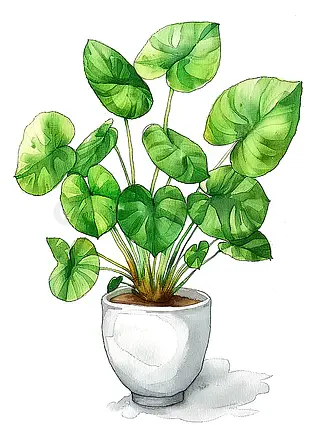 手绘水彩绿植盆栽元素插画