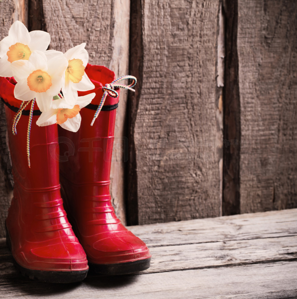zapatos del jardn infantil rojo con flores de primavera
