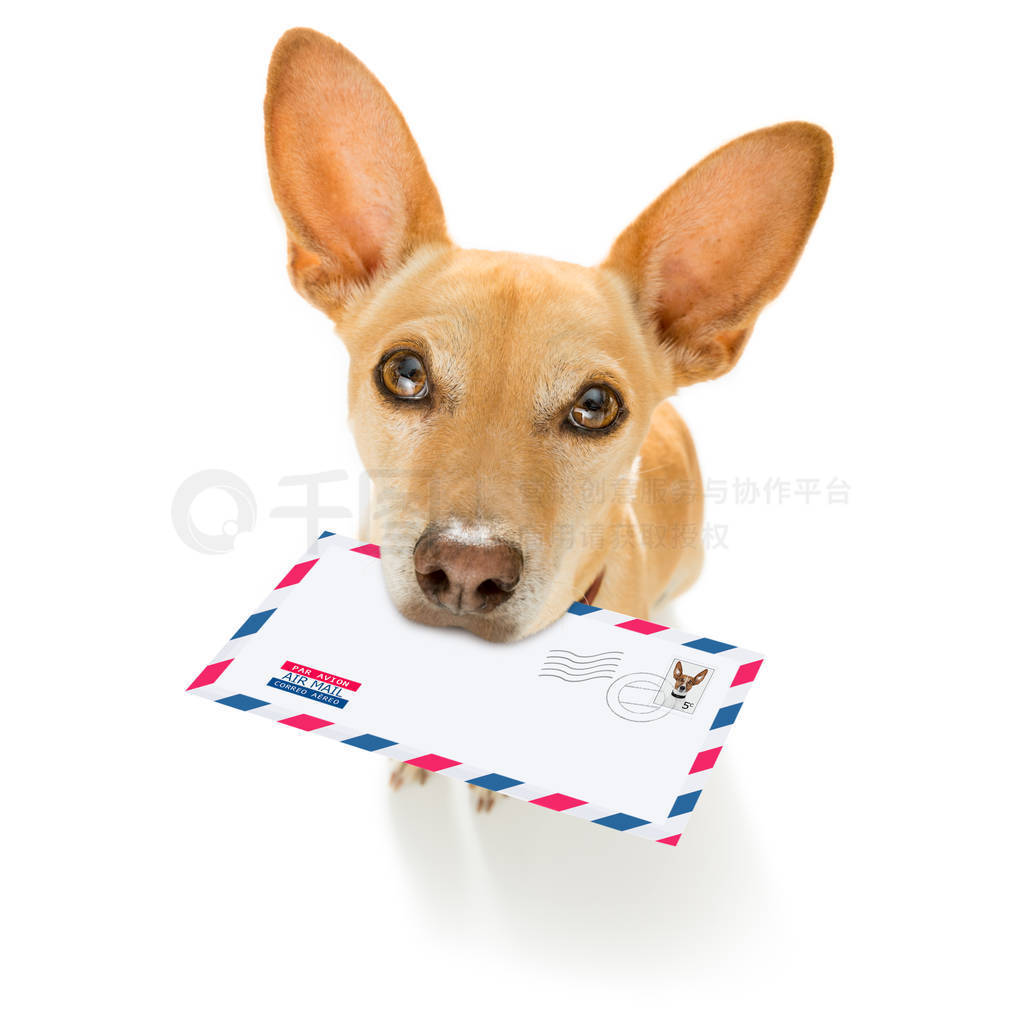 dog mail deliver postal post man