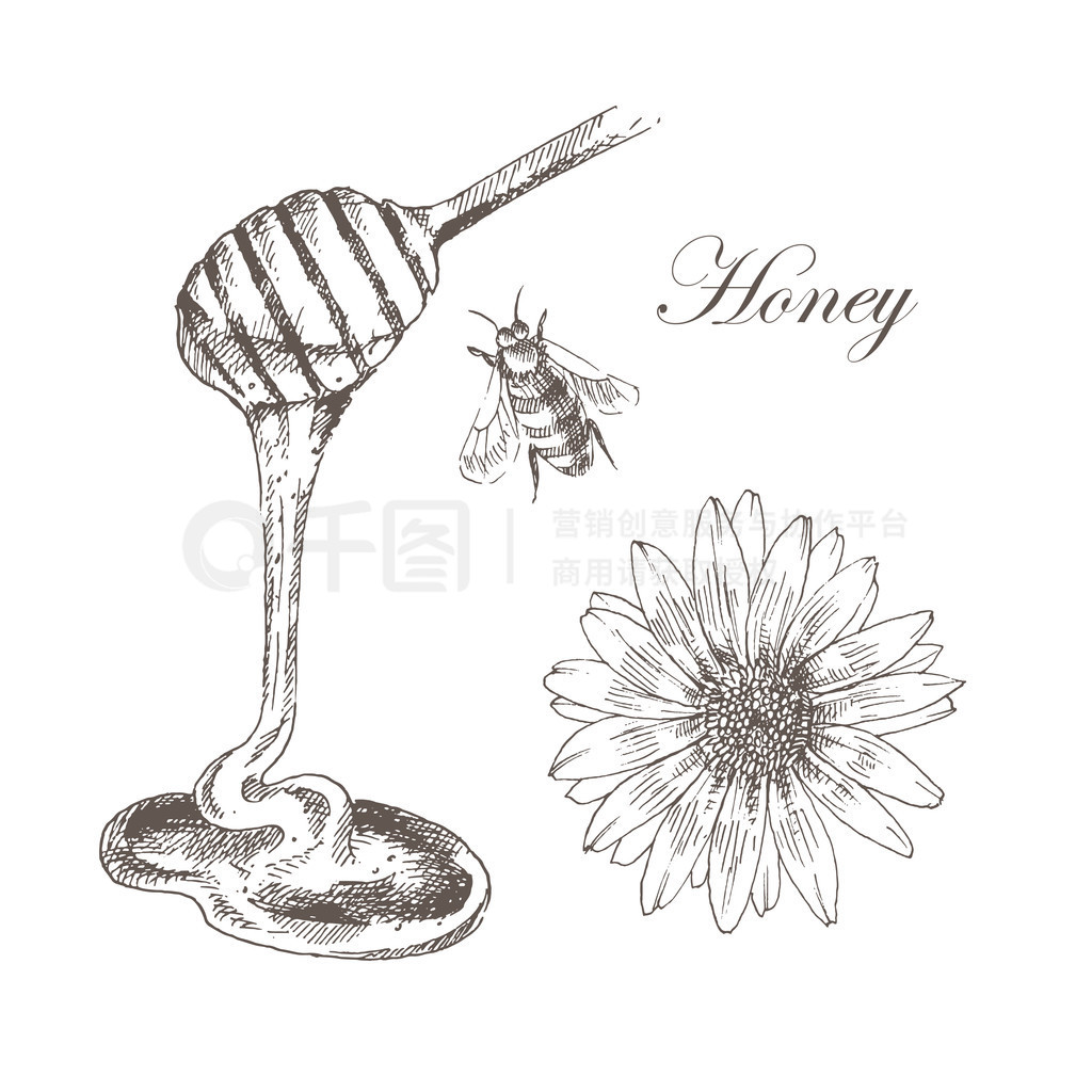 ʸۡ honeycells honeystick ۷ͼϸֵȻ軭