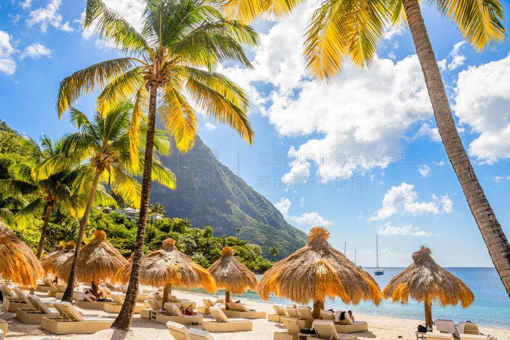 Caribbean beach with palms and straw umrellas on the shore with