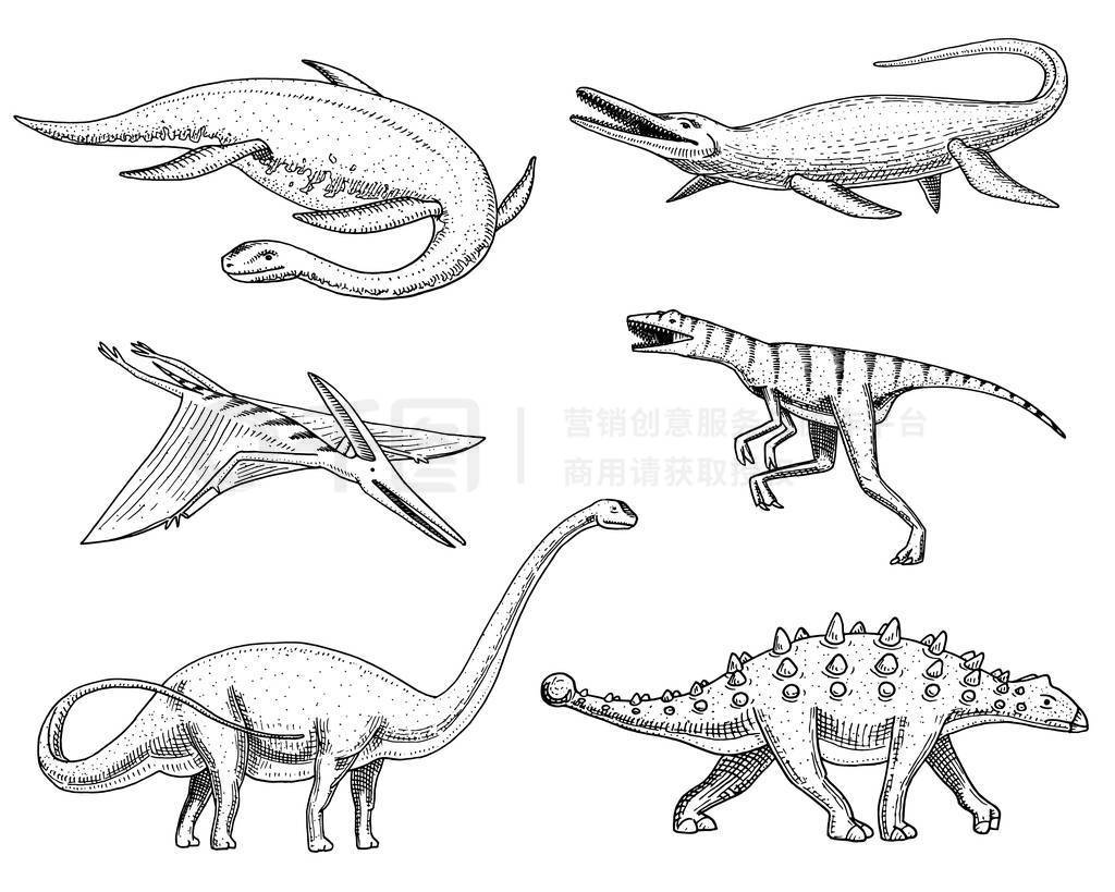 ˿Ī, Mosasaurus, Barosaurus, , , , , ʯ, 档ʷǰж