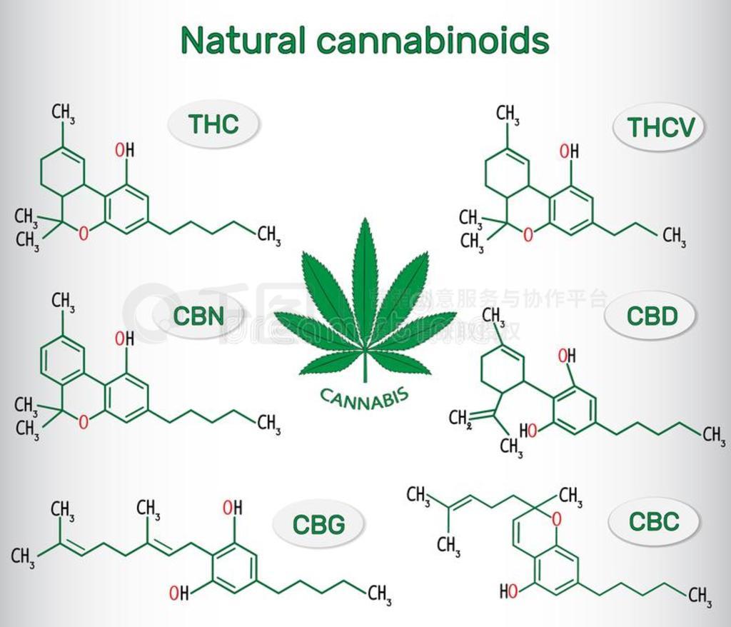 化学的公式关于自然的大麻素类采用大麻 四面体图片免费下载 5123737104 千图网Pro